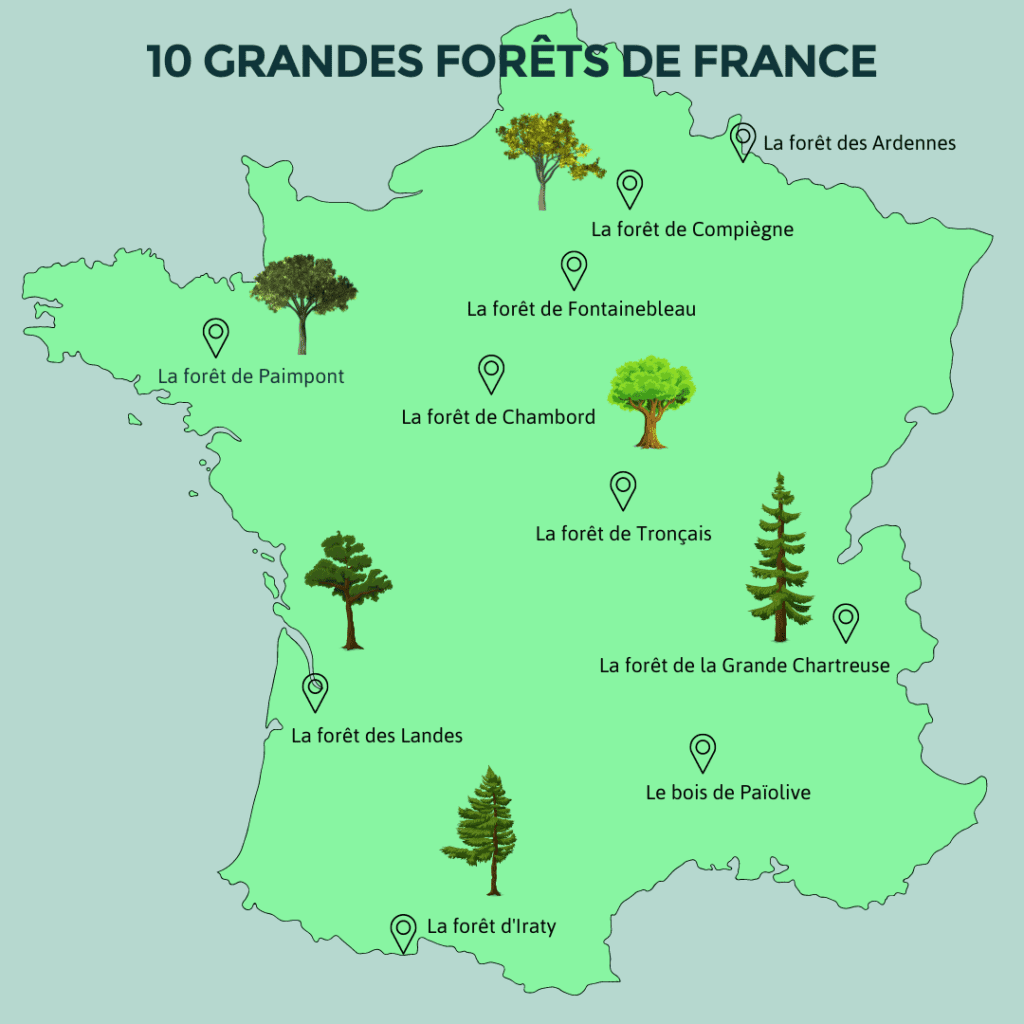 Carte montrant la localisation de 10 grandes forêts de France : la forêt des Ardennes, le bois de Païolive, la forêt de Fontainebleau, la forêt des Landes, la forêt de Chambord, la forêt de Paimpont, la forêt de la Grande Chartreuse, la forêt d'Iraty, la forêt de Compiègne, la forêt de Tronçais