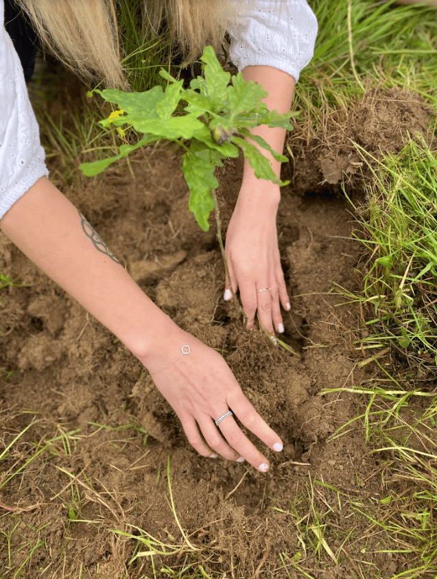 Faites de la plantation d’arbres un atout commercial