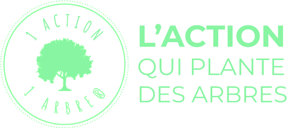 Plante qui pousse