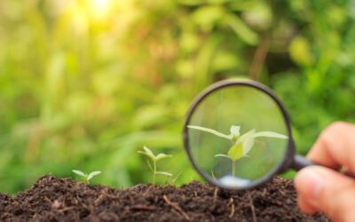 De la promesse à la preuve : l’engagement visible qui inspire vos clients