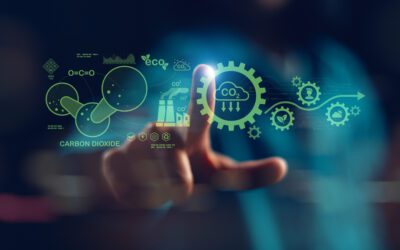 Compensation carbone : 3 idées reçues qui freinent vraiment l’action climatique