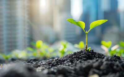 Planter localement, ça change tout (et voici pourquoi)