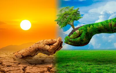 RSE estivale : pourquoi août compte pour le climat