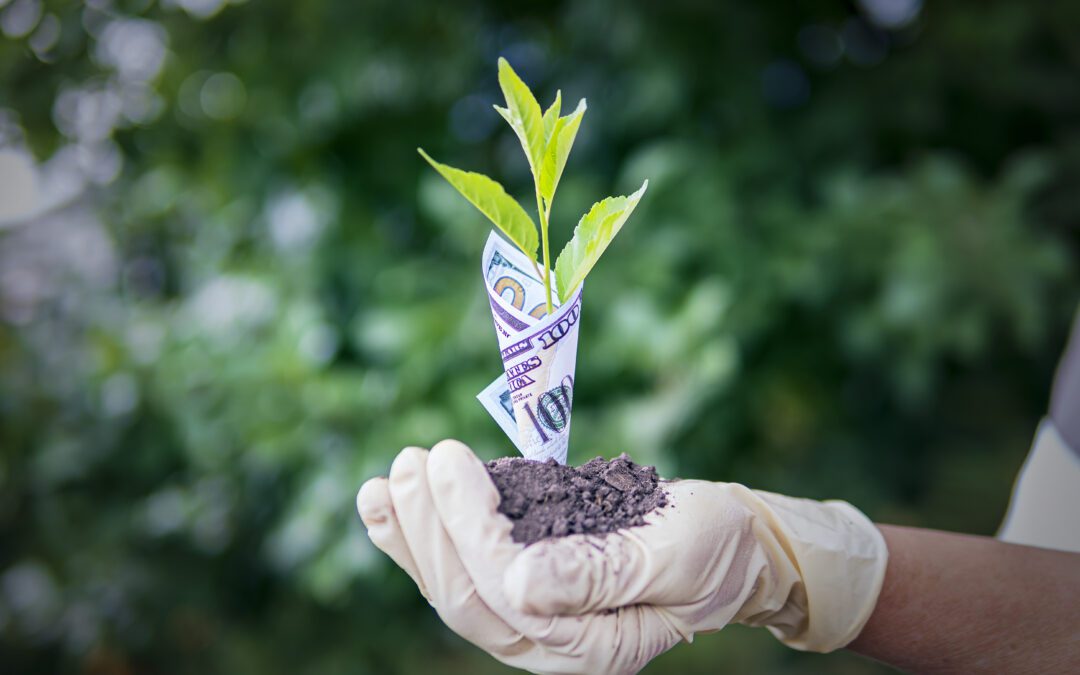 Et si vos factures faisaient pousser des forêts ?