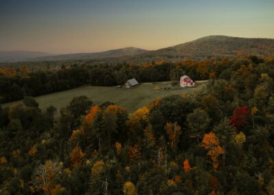 Reboisement de Friches en Région Bourgogne-Franche-Comté