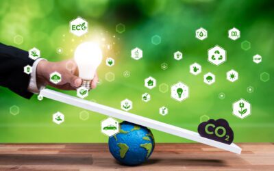 Réduire ou compenser ? Le duo gagnant pour une stratégie climat crédible