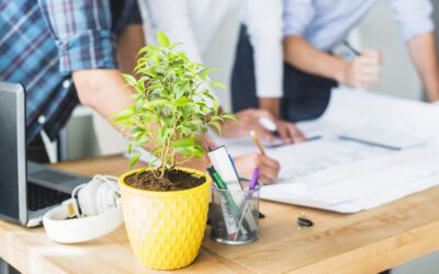 De la forêt au bureau : les arbres comme alliés RH