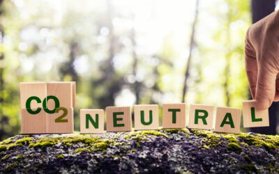 Neutralité carbone : la vraie portée pour les entreprises