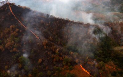 Quand l’Ibérie flambe sous le poids du climat