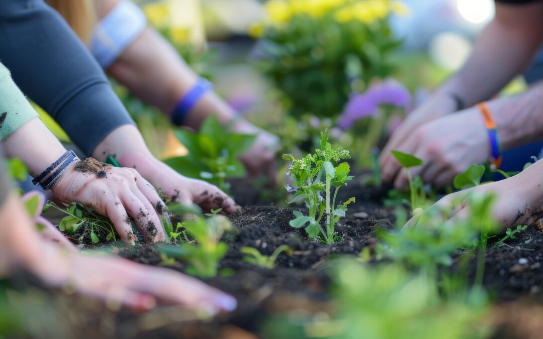 Pourquoi les collectivités investissent dans la plantation d’arbres