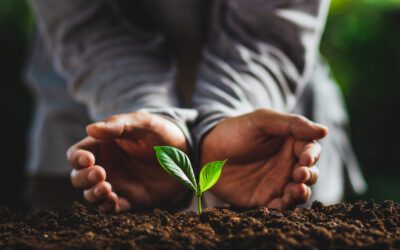 La biodiversité comme valeur d’entreprise