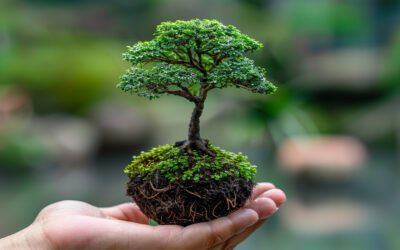 Quand les arbres disent plus que 1000 slides