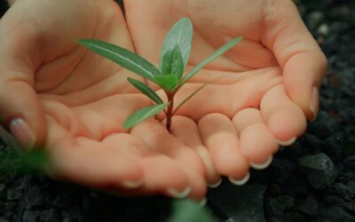 L’engagement qui pousse : découvrez 1Action1Arbre