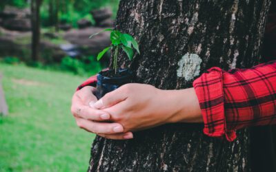 Planter un arbre : symbole d’espoir et d’avenir