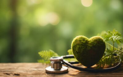 Forêt et santé mentale : quand la nature apaise l’esprit