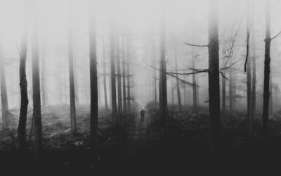 Forêts hantées, forêts habitées : planter pour la vie