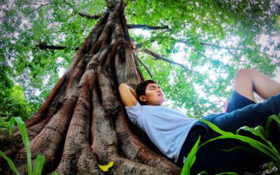 Le bien-être prend racine
