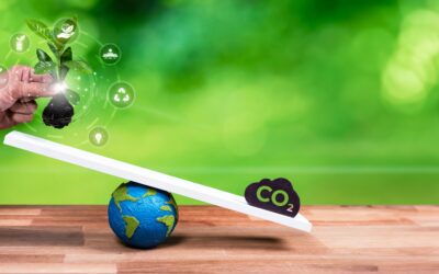 Les erreurs fréquentes sur la compensation carbone