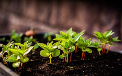 La transparence au cœur de l’engagement