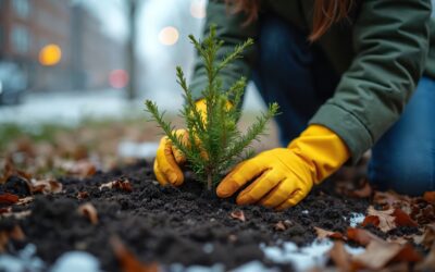 Novembre : le mois idéal pour planter et agir