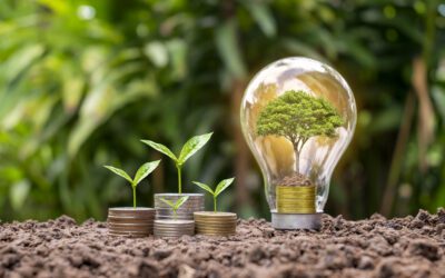 Compensation carbone : mythe ou levier concret ?