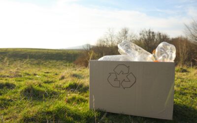 Éduquer à réduire les déchets et l’empreinte carbone